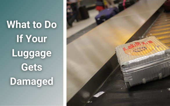 Airline Broke My Rimowa and Paid for a New One: What to Do If Your Luggage Gets Damaged